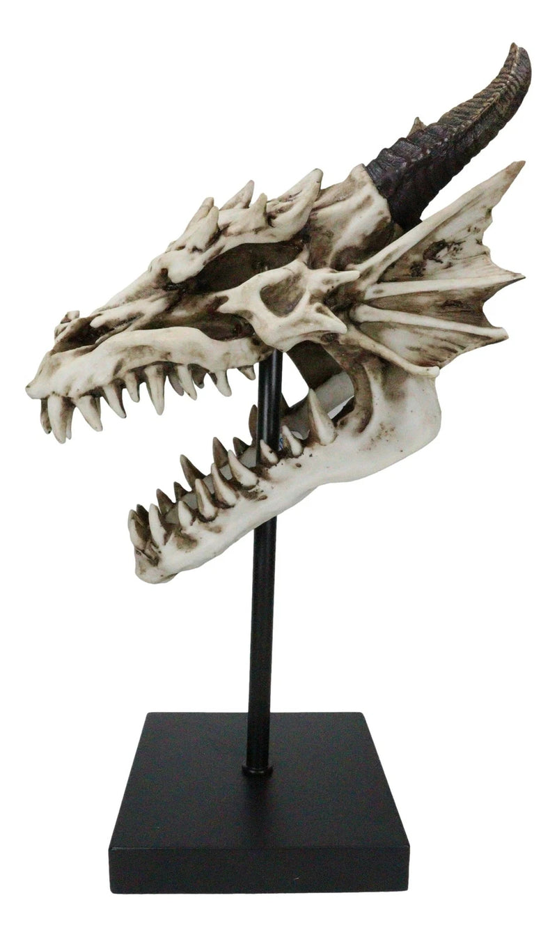 Figura de exhibición de cráneo de dragón de hueso de Terra feroz en soporte de museo, 30 cm-2