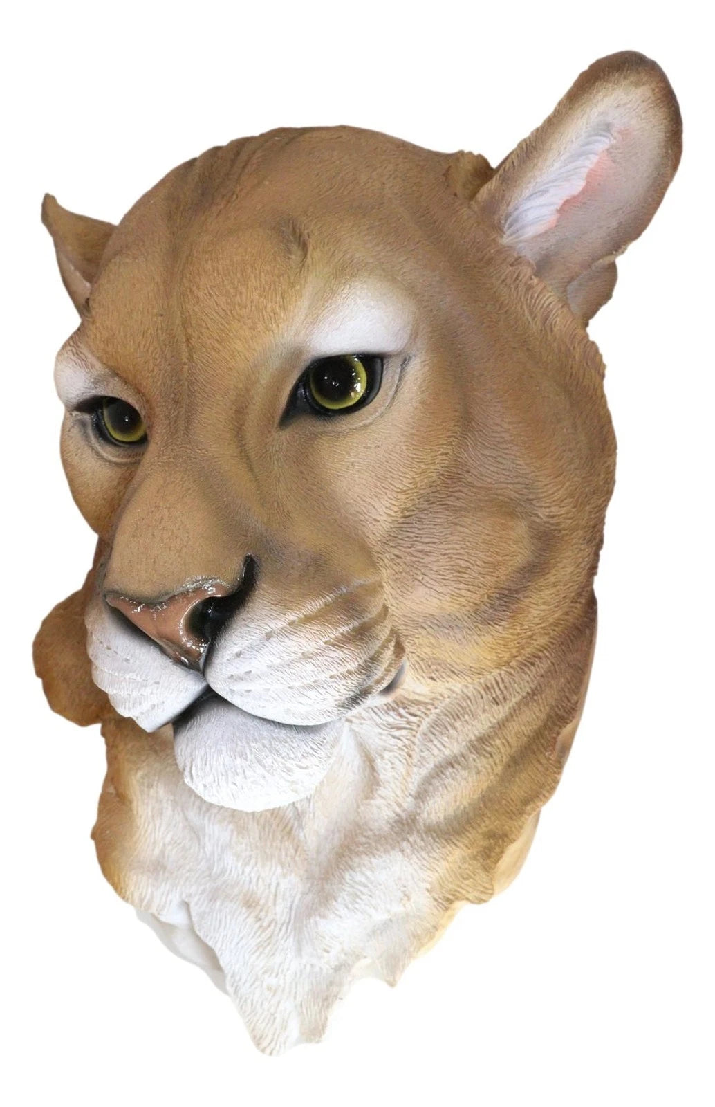 Sarabi Large Lioness Head Wall Decor Plaque 16"Tall Taxidermy Art Decor Figurine-7