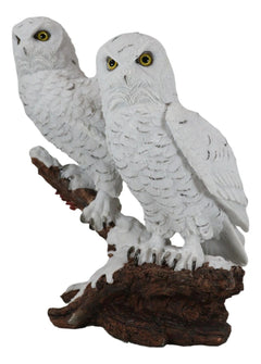 Mystical Two White Snowy Owl Couple Perching On Tree Branch Statue 12.25"Tall-2