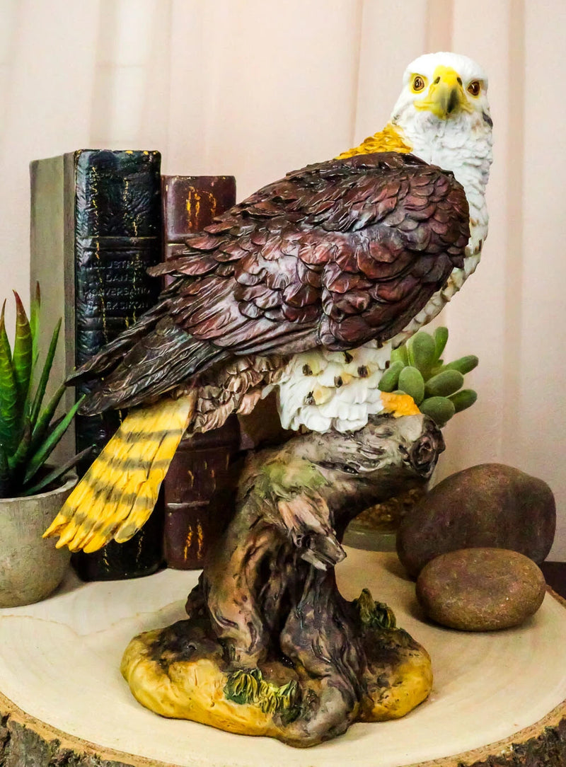 Wildlife Bald Eagle On Tree Stump Statue Birds Of Prey Figurine 10"H-1