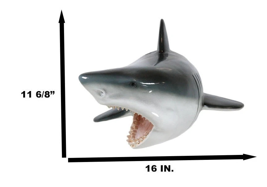 Beware of Great White Shark Jaws Mako Predator Wall Mount Plaque Figurine Decor-6