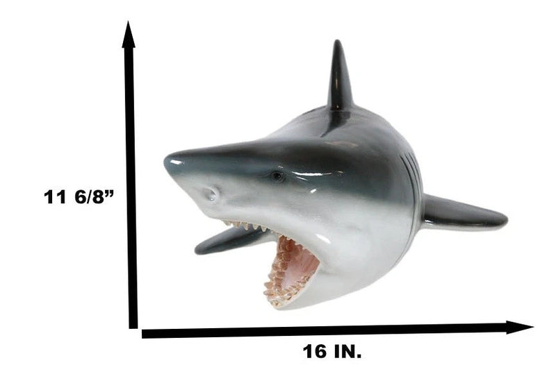 Beware of Great White Shark Jaws Mako Predator Wall Mount Plaque Figurine Decor-6