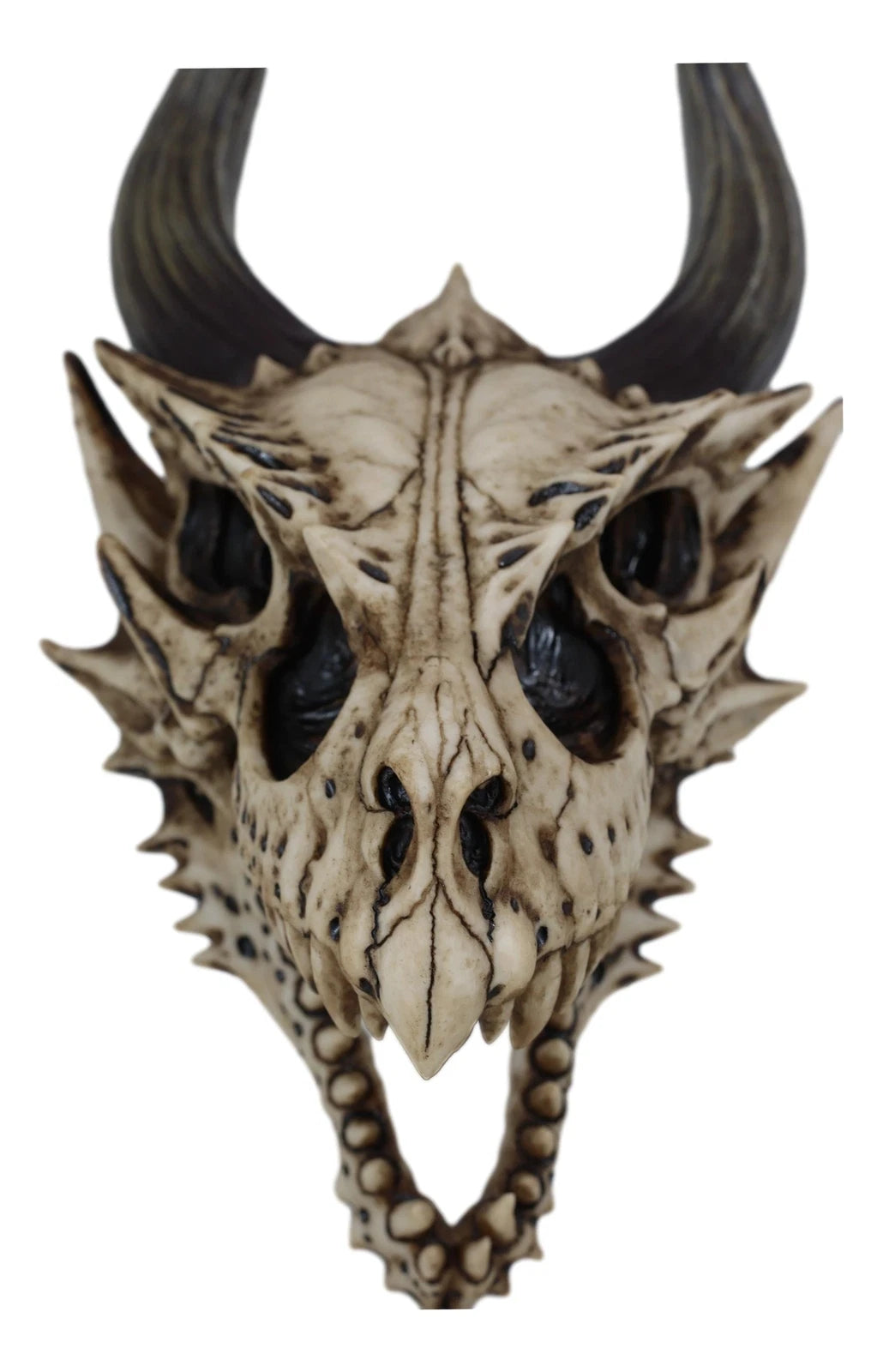 Decoración de pared con calavera de dragón, figura realista de cabeza de dragón Beowulf jurásico fósil para pared, estante, repisa o sala de fantasía gótica.-7