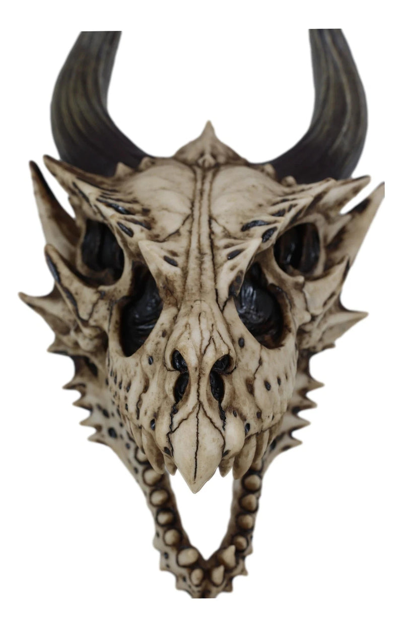 Decoración de pared con calavera de dragón, figura realista de cabeza de dragón Beowulf jurásico fósil para pared, estante, repisa o sala de fantasía gótica.-7