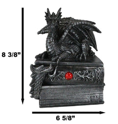 Medieval Fantasy Dragon Guardian of Knowledge Secret Trinket Box Figurine 8.25"H-5