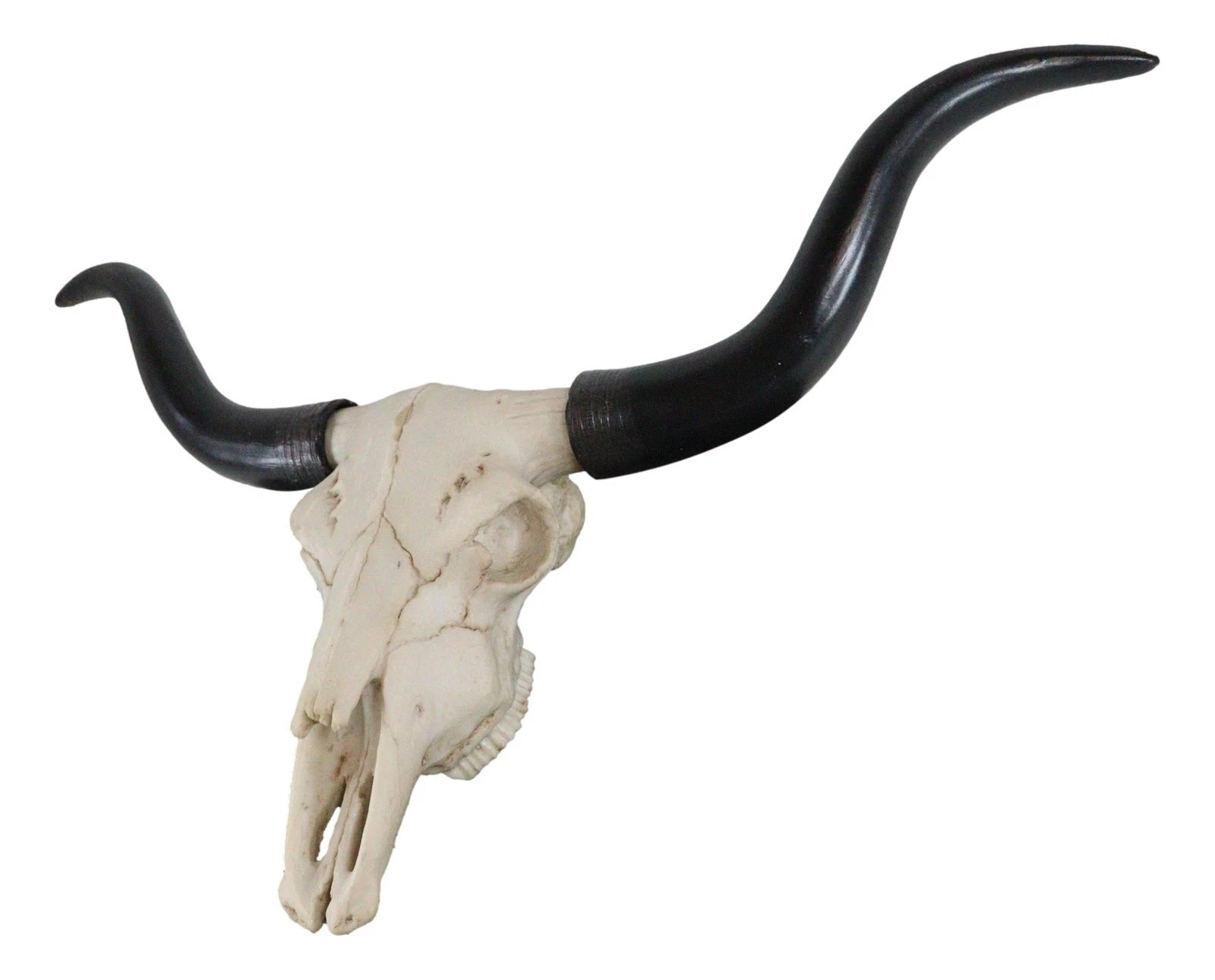 Texas Longhorn Steer Cattle Cow Skull Wall Hanging Plaque Figurine 21"L-5