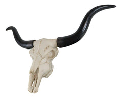 Texas Longhorn Steer Cattle Cow Skull Wall Hanging Plaque Figurine 21"L-5