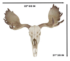 Czar North American Bull Moose Skull Wall Decor 22"Wide Wall Mount Plaque Art-7