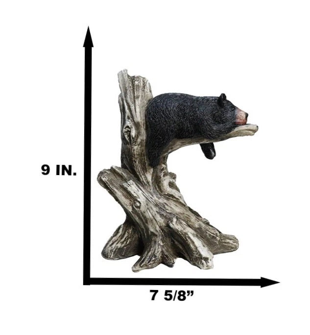 Lazy Days Of Summer Black Bear Sleeping On Tree Branch Statue-4