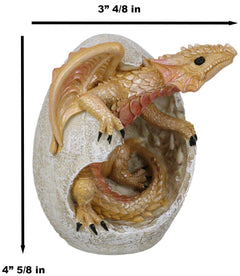 Figura de cría de dragón Raeon Sunlight saliendo de la cáscara del huevo, 12,7 cm de alto-3