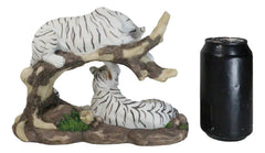 Figura de árbol curvado de pareja de tigres blancos de Bengala siberianos que retozan en la jungla-5