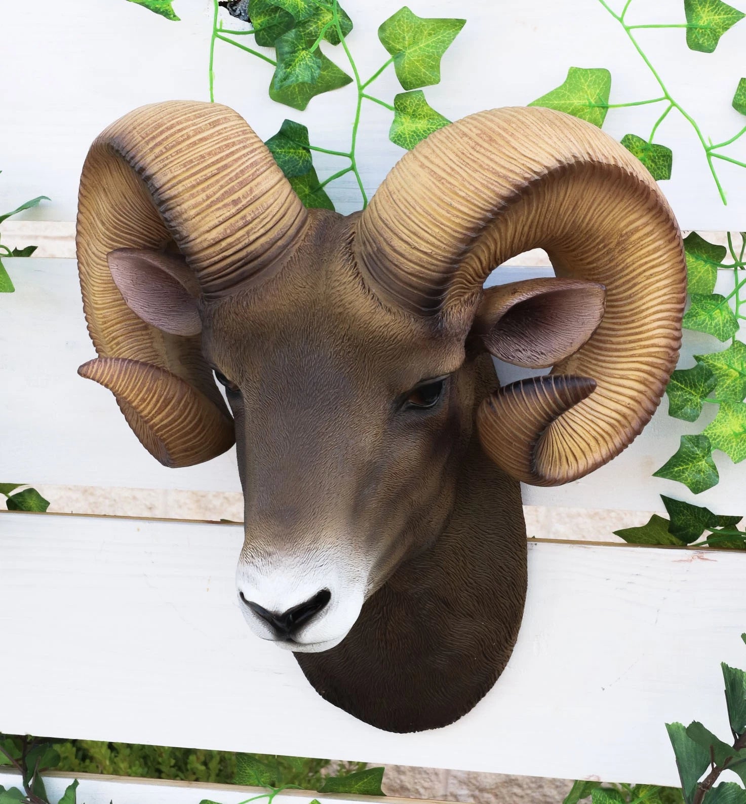 Rocky Mountains Bighorn Ram Trophy Taxidermy Wall Decor Sculpture Hanging Plaque-1