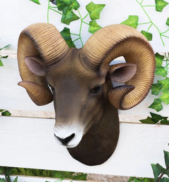 Rocky Mountains Bighorn Ram Trophy Taxidermy Wall Decor Sculpture Hanging Plaque-1