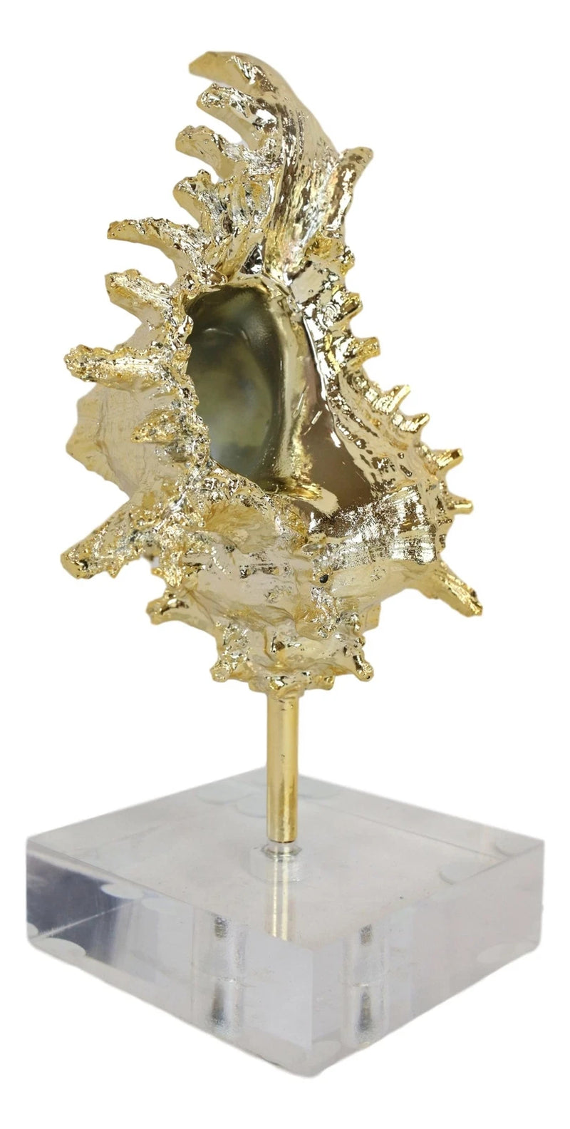 Nautical Marine Coral Golden Conch Large Sea Shell Sculpture With Acrylic Base-2