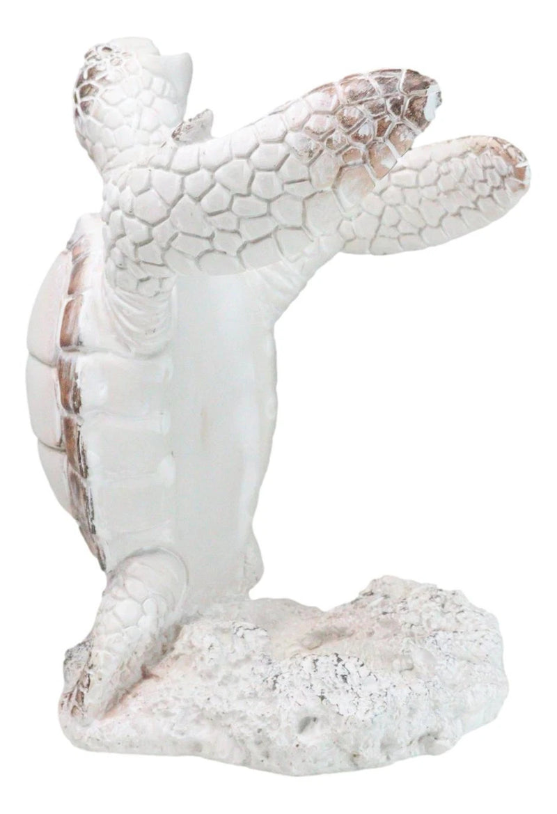 Nautical Marine Distressed Antique White Sea Turtle Wine Bottle Holder Figurine-3