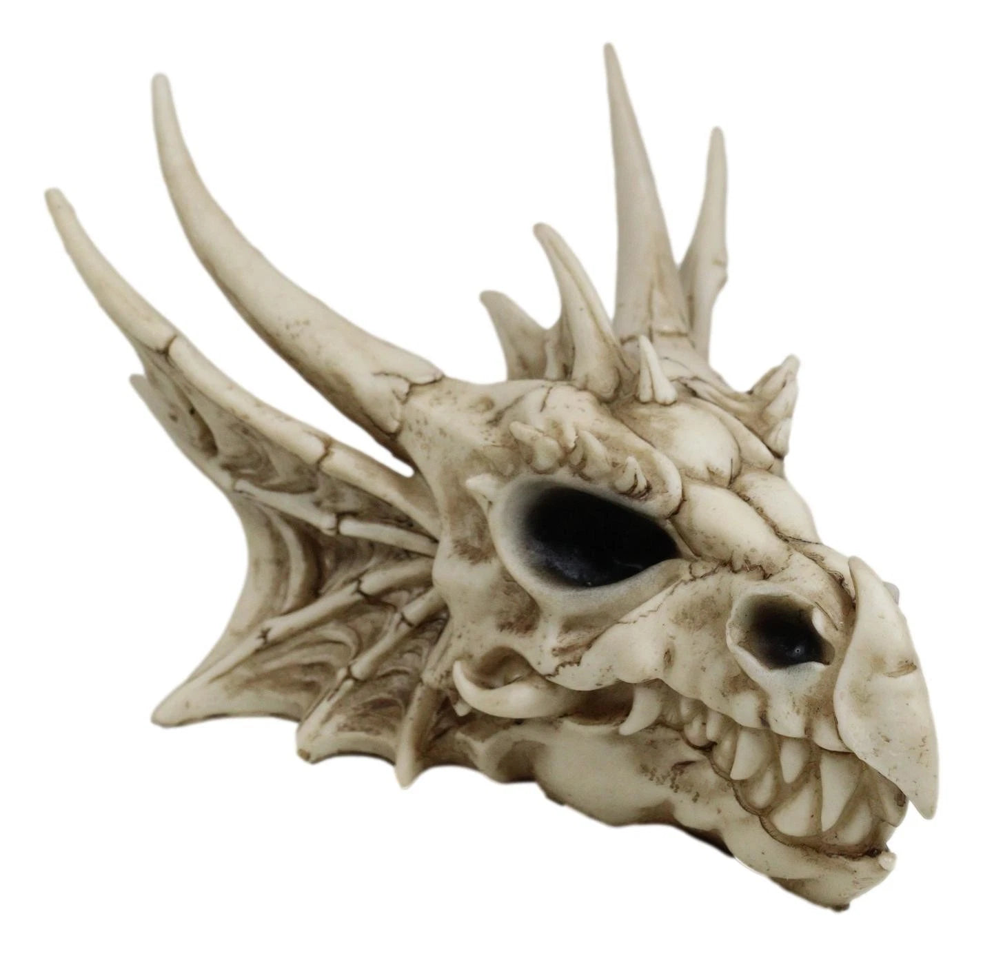 Fantasy Grendel Dragon Head Skull Skeleton Realistic Fossil Replica Statue 9"L