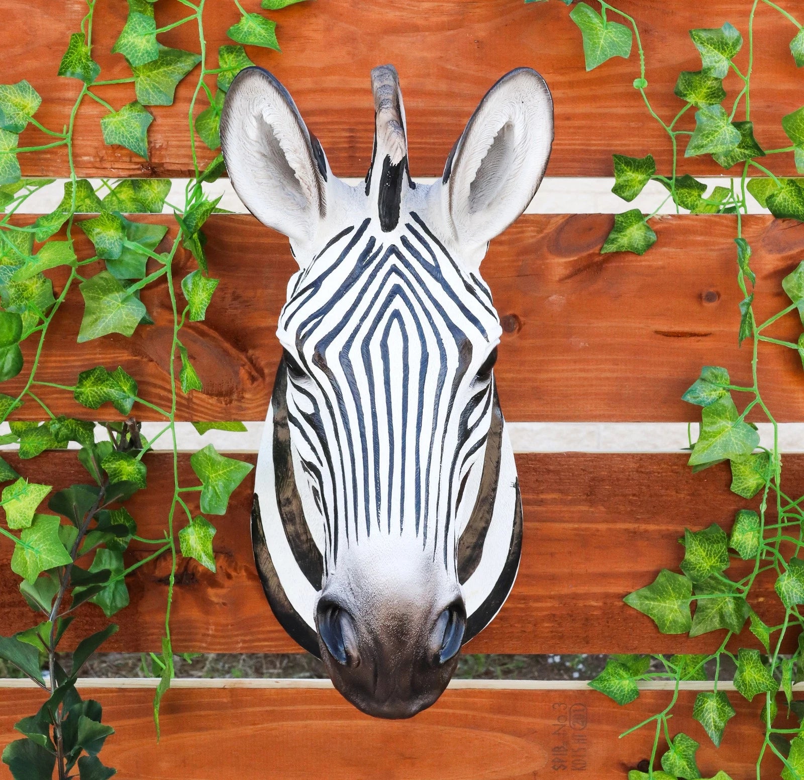 Madagascar Large Zebra Head Wall Decor Plaque 16"Tall Taxidermy Decor Sculpture-3
