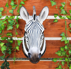 Madagascar Large Zebra Head Wall Decor Plaque 16"Tall Taxidermy Decor Sculpture-3