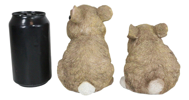 Set Of 2 Whimsical Cute Baby Bunny Rabbits Pet Pal Fairy Garden Figurines-3