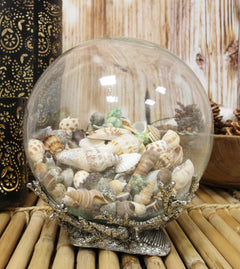 Nautical Marine Sea Shells Glass Globe Ball On Silver Coral Reef Metal Sculpture-4