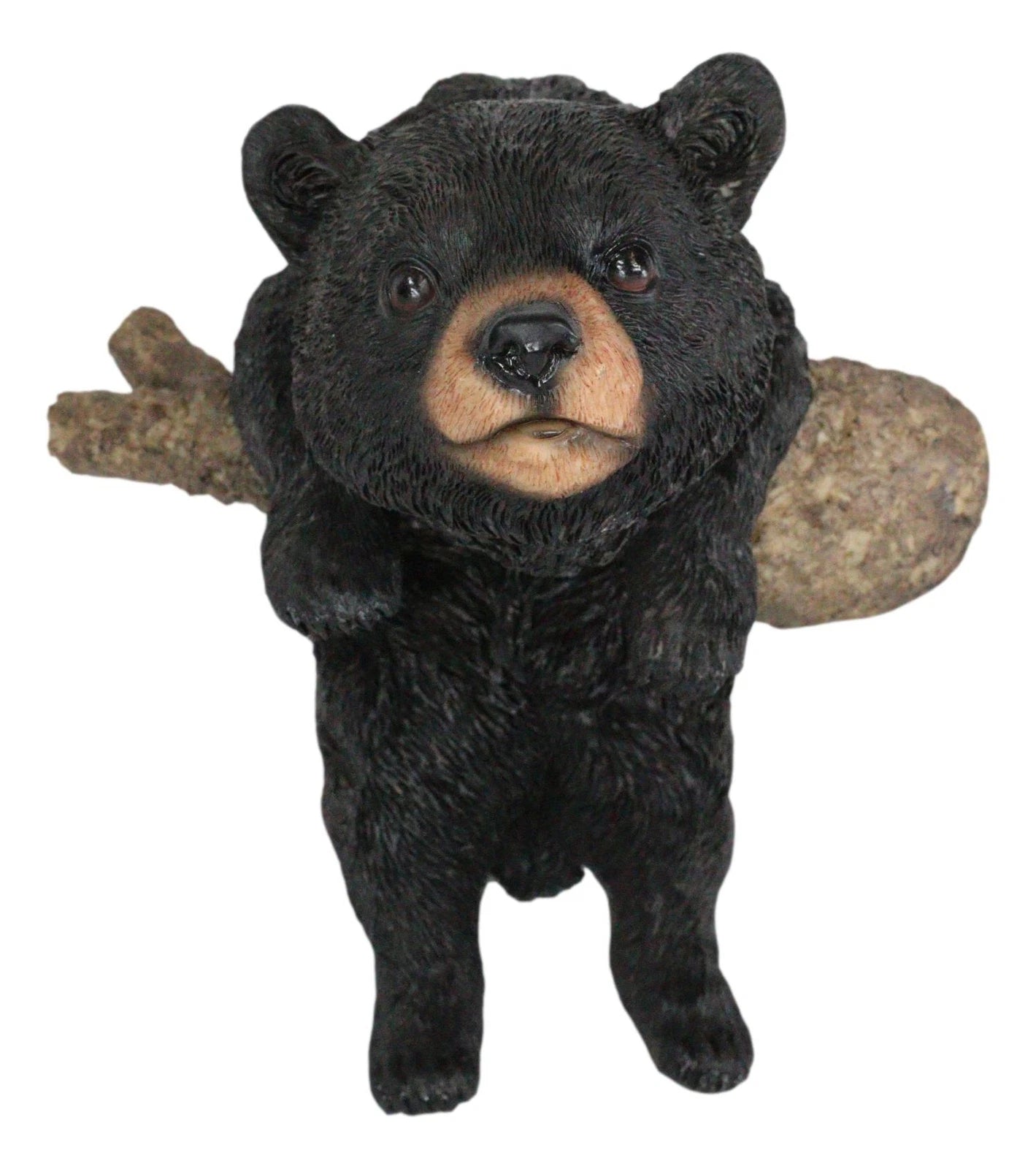Rustic Western Forest Black Bear Cub Frolic Dangling On Tree Branch Wall Decor-4