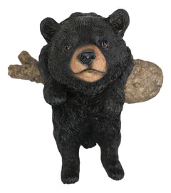 Rustic Western Forest Black Bear Cub Frolic Dangling On Tree Branch Wall Decor-4