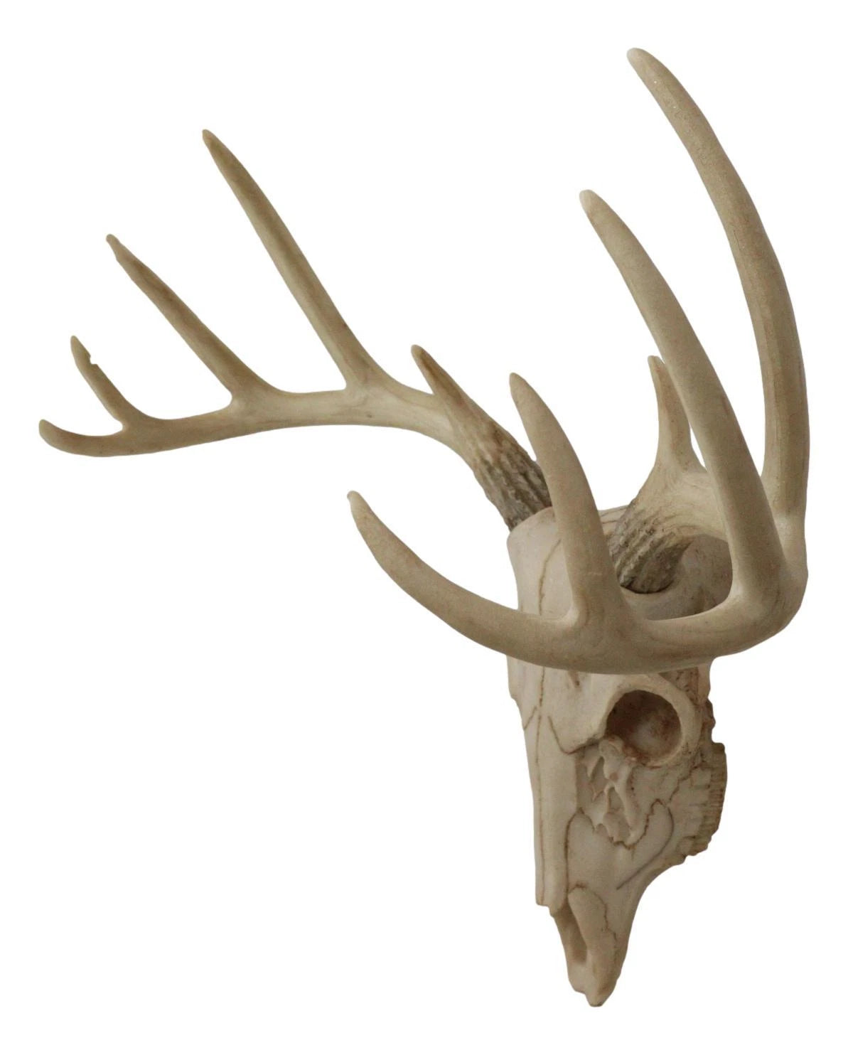 Rustic Hunter Rack Deer Skull Antler Wall Plaque Decor 10 Point Buck Figurine-6