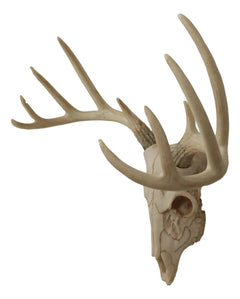 Rustic Hunter Rack Deer Skull Antler Wall Plaque Decor 10 Point Buck Figurine-6