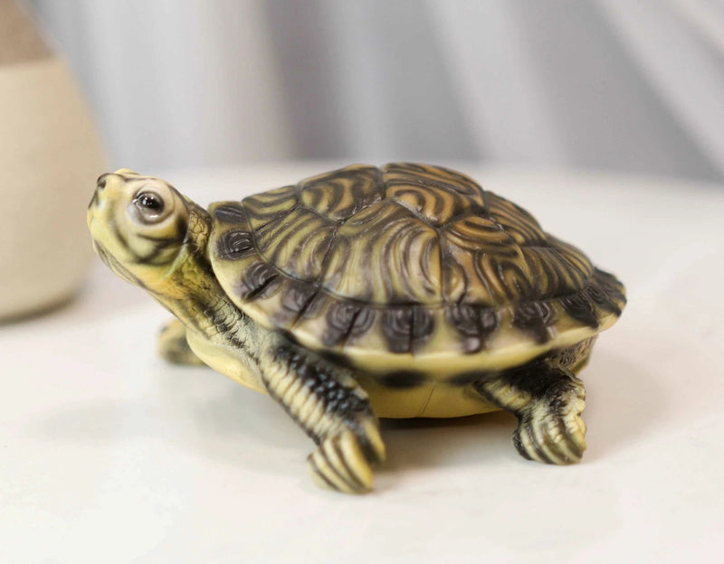 Lifelike Yellow Bellied Slider Turtle Tortoise Figurine 4.75"L Zen Feng Shui-1