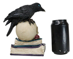 Raven Crow Perching On Skull With LED Eyes And Spell Books Of Prophecy Figurine-6