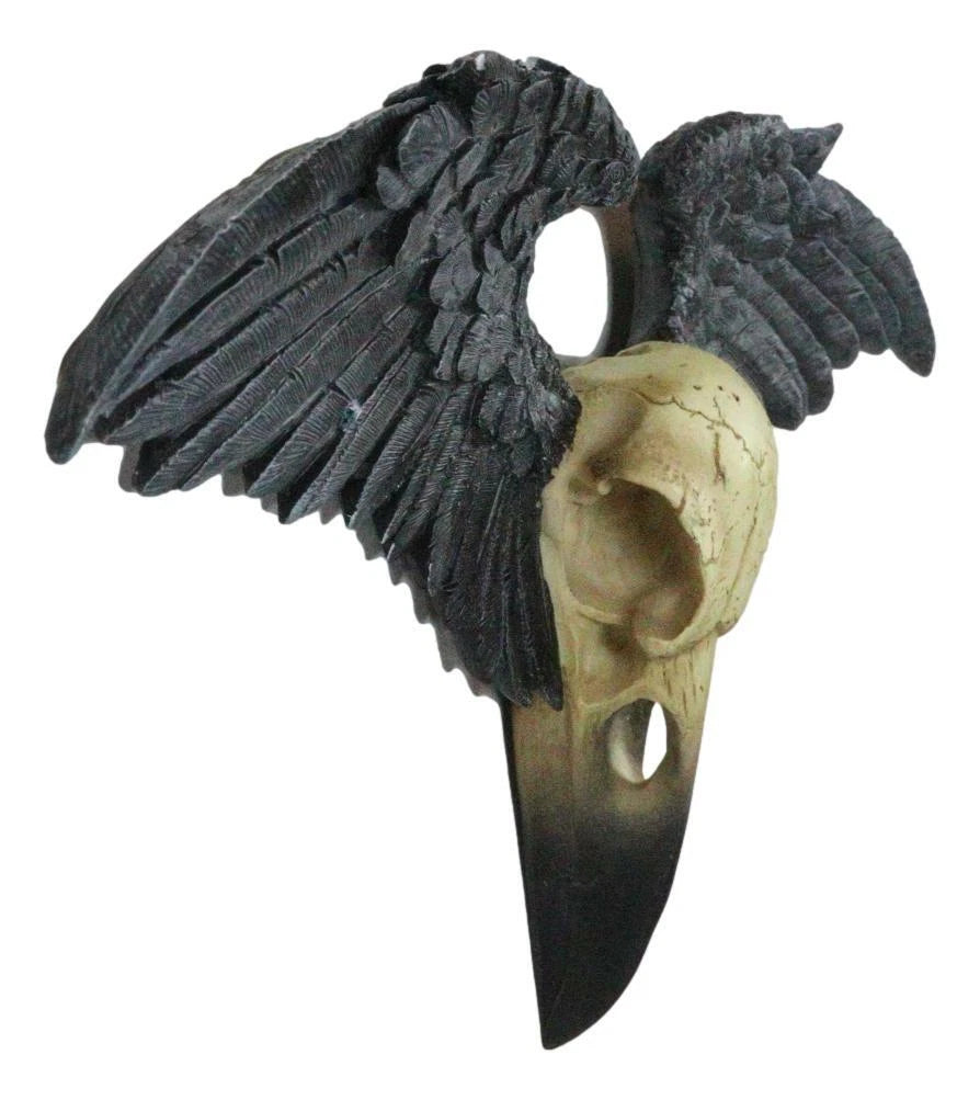 Ravenger Thanatos Raven Crow Skull With Black Angel Wings Wall Decor Plaque-3