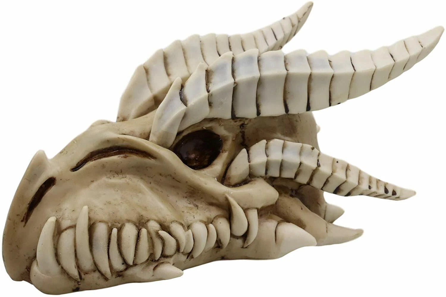 Jurassic Wise Dragon Head Skull Replica Fossil Wall Sculpture Or Desktop Statue-5
