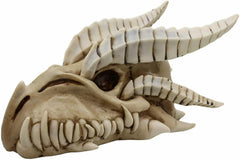 Jurassic Wise Dragon Head Skull Replica Fossil Wall Sculpture Or Desktop Statue-5