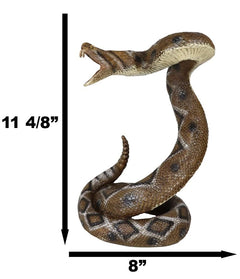 Realistic Attacking Coiled Diamondback Rattlesnake With Fangs Bared Figurine-5