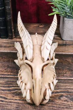 Jurassic Wise Dragon Head Skull Replica Fossil Wall Sculpture Or Desktop Statue-6