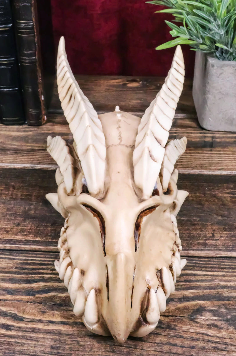 Jurassic Wise Dragon Head Skull Replica Fossil Wall Sculpture Or Desktop Statue-6