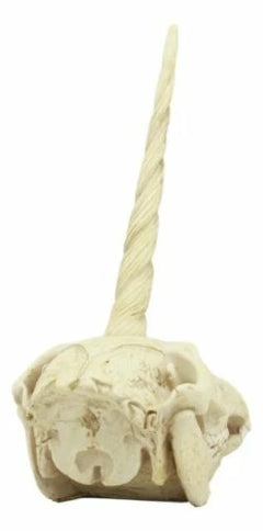 Fossil Unicorn Skull Rare Mythical Phantom Creature Skeleton Figurine-3
