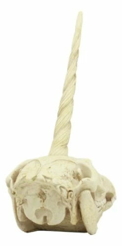 Fossil Unicorn Skull Rare Mythical Phantom Creature Skeleton Figurine-3