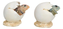 Pack Of 2 Marine Blue And Brown Sea Turtle Hatchlings In Egg Shells Figurines-6