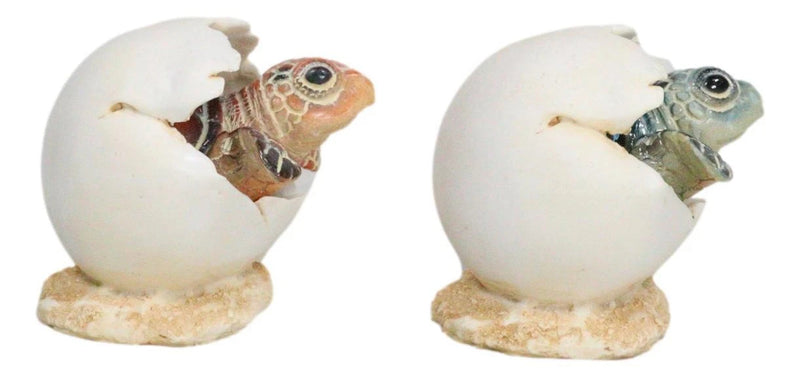 Pack Of 2 Marine Blue And Brown Sea Turtle Hatchlings In Egg Shells Figurines-6