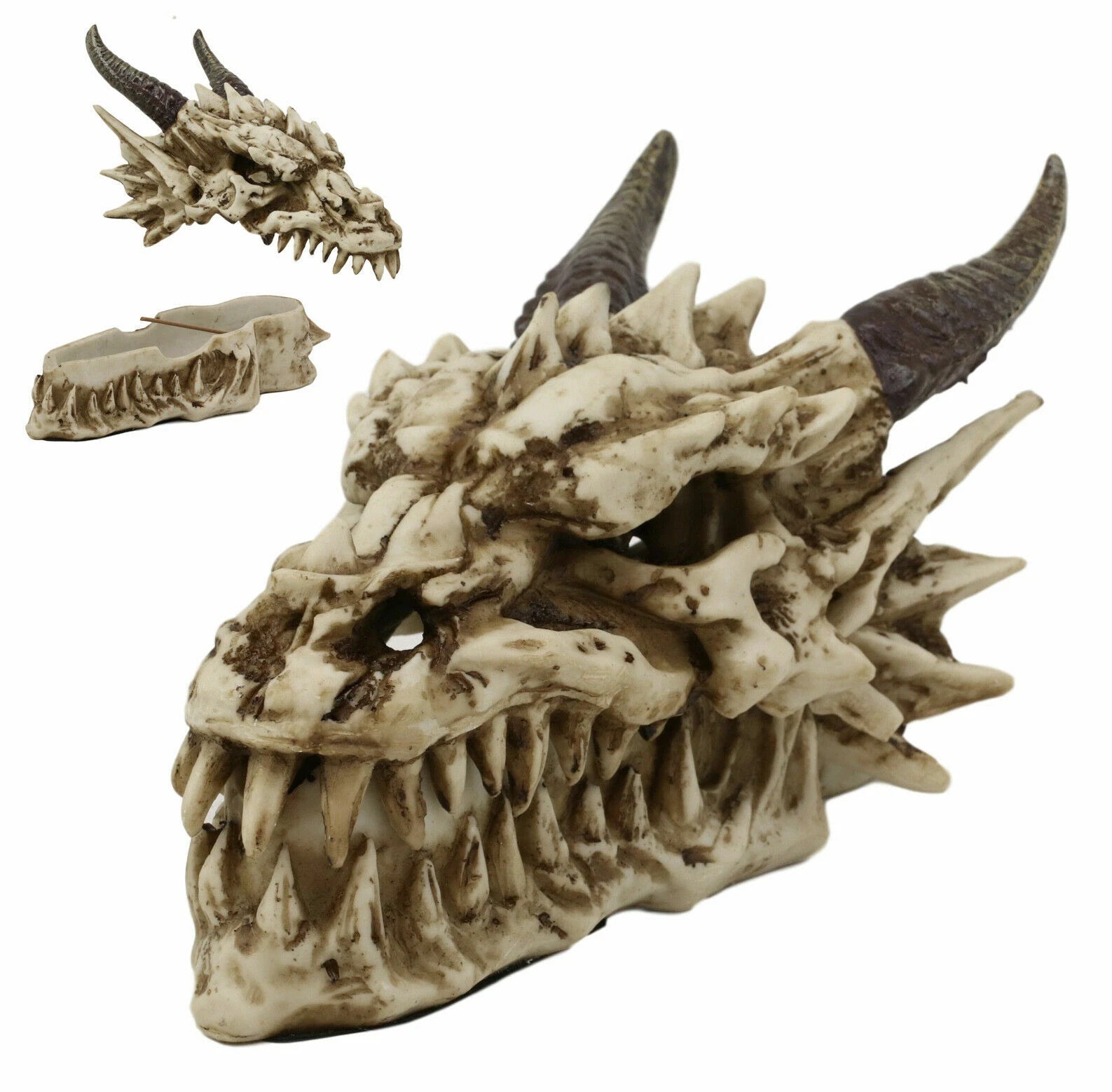 9"L Smoking Bone Skeleton Fossil Dragon Head Skull Incense Burner Box Statue