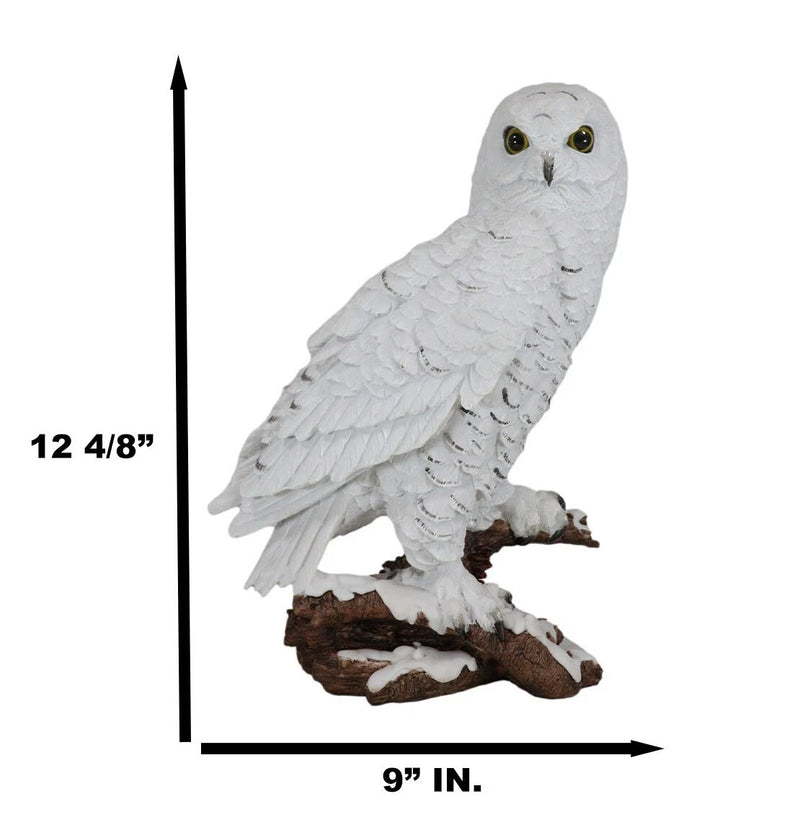 Estatua de búho blanco místico de 31 cm de alto, decoración nocturna con búhos.-7