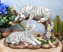 Figura de árbol curvado de pareja de tigres blancos de Bengala siberianos que retozan en la jungla-1
