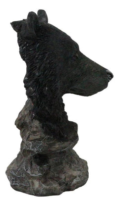 Busto de oso negro de bosque rústico occidental con soporte de estepas rocosas-4