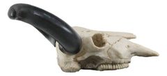 Texas Longhorn Steer Cattle Cow Skull Wall Hanging Plaque Figurine 21"L-3