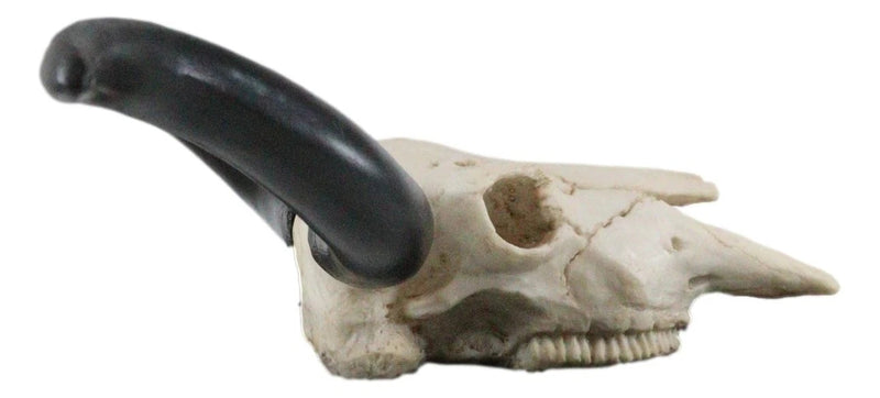 Texas Longhorn Steer Cattle Cow Skull Wall Hanging Plaque Figurine 21"L-3