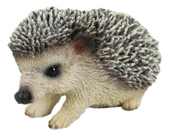 Set Of 2 Wildlife Animals Realistic Mother Hedgehog With Baby Hoglet Figurines-3