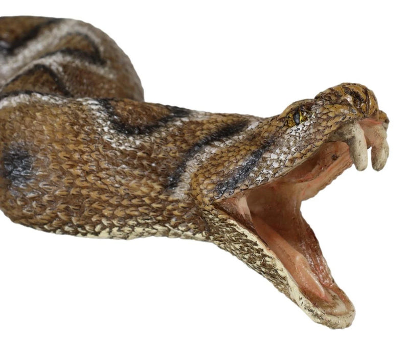 Realistic Attacking Coiled Diamondback Rattlesnake With Fangs Bared Figurine-3