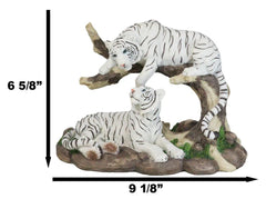 Figura de árbol curvado de pareja de tigres blancos de Bengala siberianos que retozan en la jungla-2