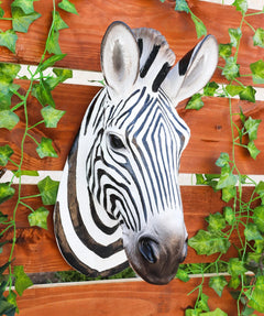 Madagascar Large Zebra Head Wall Decor Plaque 16"Tall Taxidermy Decor Sculpture-6